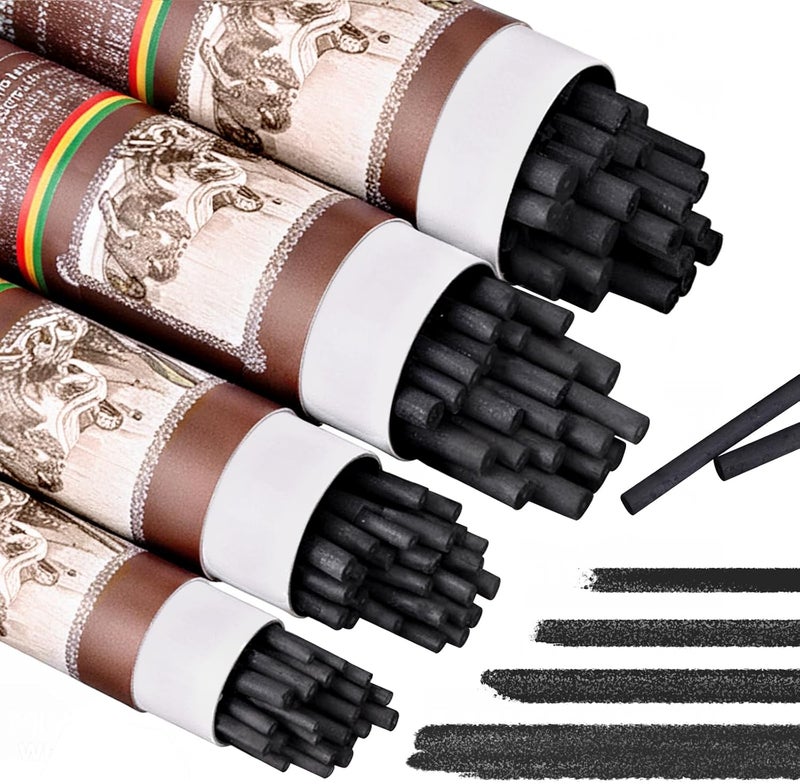 EVNEED 100 Pcs Willow Charcoal Sticks for Drawing,Willow Charcoal Pencils,Soft Black Drawing Charcoal for Sketching and Drawing Art Sketch Artists Supplies, and Fine Art (2-4mm,4-5mm,5-7mm,7-9mm) - Image 1